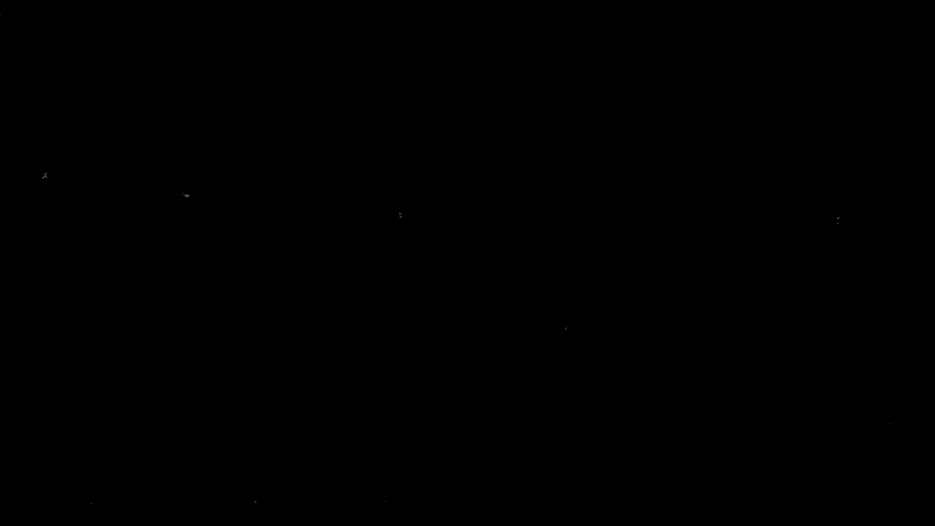 FRTD_gif1_low